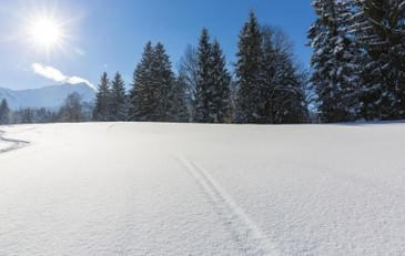 Schneesportschule-Eichenhof