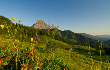 Natur-erleben-Natur-bewahren-miteinander-geniessen